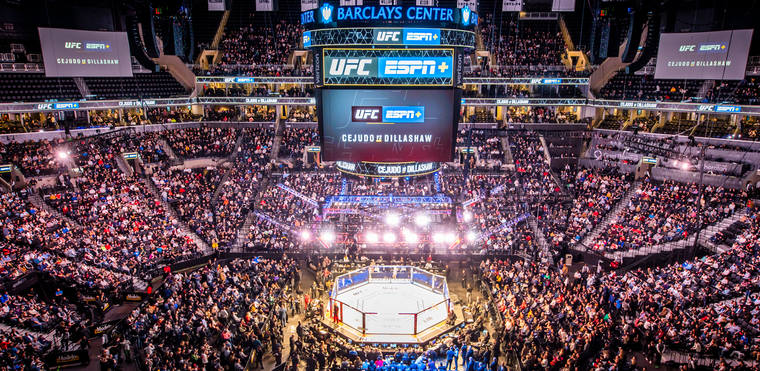 This guide shows How to Watch UFC 274 on Firestick, Android, or any streaming device.