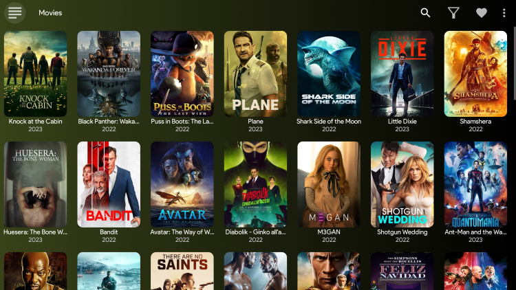 You have successfully installed the FlixVision APK on your device.