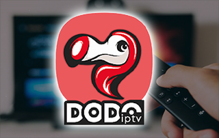 dodo iptv